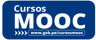Gestión pública